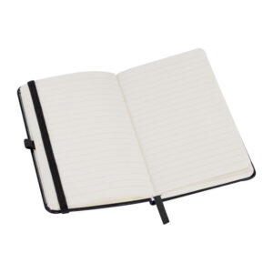 Alternative view of Agendă A6