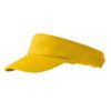Sunvisor