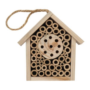Alternative view of Căsuţă pentru insecte