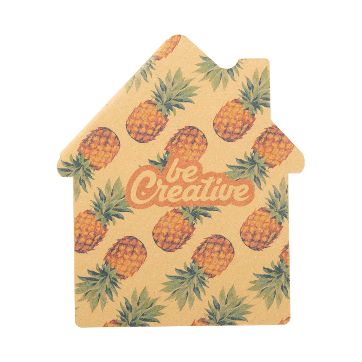 CreaStick House Eco - imagine 5