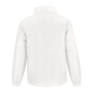 Alternative view of WINDBREAKER