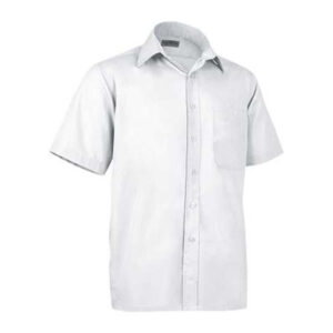 Alternative view of Short Shirt Oporto